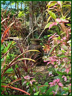 tuin